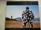 Langspielplatte Doppel-LP Pink Floyd  Delicate Sound of Thunder rar