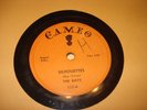 The Rays Silhouettes Daddy Cool 1957 10
