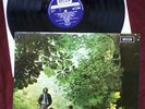 Caravan ?– If I Could Do It All Over Again... Decca ?– SKL-R 5052 LP VINYL 1970