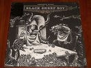 OKKERVIL RIVER BLACK SHEEP BOY LP & APPENDIX EP *RARE 2x VINYL 2009 US PRESS LTD