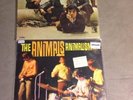the Animals  record 12