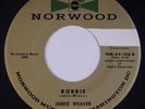 JANICE WEAVER: Robbie /  The Game NORWOOD Teen Pop WASHINGTON DC 45 Hear