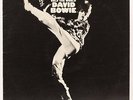 The Man Who Sold The World  David Bowie Vinyl Record