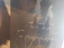 Janes Addiction Nothing's Shocking 1-25727 vtg Music Vinyl 1988 Records LP 1430