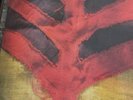 Yeah Yeah Yeahs - Show Your Bones [Vinyl New]