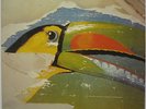 JANE Sign No. 9 GERMAN ORG 1979 PROGRESSIVE Rock LP Minty  KRAUTROCK