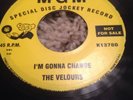 Rare Northern Soul The Velours