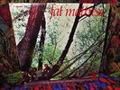 FACTORY SEALED 1969 ORIG = FAT MATTRESS = JIMI'S EXPERIENCE LONDON POP PSYCH GEM