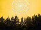DECEMBERISTS - KING IS DEAD(180G/ALBUM DOWNLOAD) - VINYL