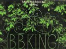 B.B. KING  