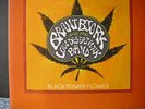 Brant Bjork - Black Power Flower Gatefold LP  (Kyuss, Fu Manchu)
