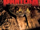 The Great Southern Trendkill(2LP 180 Gram Vinyl) by Pantera [Vinyl] Oct 26, 2016