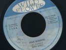 1864 BOB ANDY-FIRE BURNING-WILD FLOWER-REGGAE 45 7