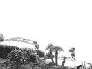 Timber Timbre - Hot Dreams [Vinyl New]