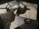 Agalloch - The Mantle - Gatefold Double LP clear vinyls incl. poster sealed