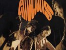 The Pretty Things - emotions