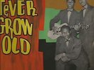 MAYTALS / NEVER GROW OLD / RARE / LP / VG++