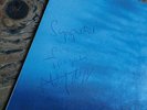 LP - Between the Buttons - Rolling Stones - Cover only - Dédicace de Mick Jagger