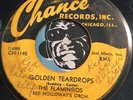 FLAMINGOS Rare Doowop 45 Chance #1145 Golden Teardrops b/w Carried Away