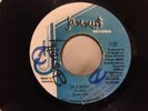 TONTO IRIE/IT A RING JAMMY'S DANCEHALL 45 TENPO RIDDIM