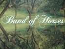 Band Of Horses - Everything All The Time Newbury Exclusive LP  Vinyl Coke Bottle