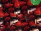 Thee Oh Sees - Floating Coffin LP Vinyl DL NEW