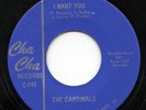 Rare Garage 45 - The Cardinals - I Want You - Cha Cha Records # 740 - M-