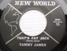 TAMMY JAMES soul r&b 45 THAT'S FAT JACK ANYMORE strong VG+ vinyl NEW WORLD F428