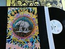 LP ITALIAN PROG EFFERVESCENT ELEPHANTS - 16 PAGES Psychedelic Rock