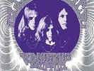 Vincebus Eruptum - Blue Cheer (2010, Vinyl New)
