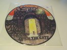 VORTEX Open the Gate STEELHUNTER Vinyl: mint  Picture Disc