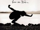 Into The Wild - VEDDER EDDIE [LP]