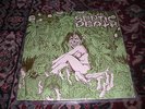 Septic Death 