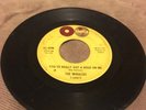 The Miracles You've Really Got A Hold On Me/Happy Landing '1B/1B 1962 Tamla Rare