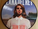 Lana Del Rey ?Born To Die Picture Disc LP RSD Honeymoon Paradise Ultraviolence