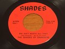 The Shades of Darkness She Ain't Worth All That 60s Psych Garage Vinyl 45 71031