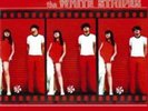 The White Stripes-The White Stripes  VINYL NEW