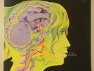 Keith Tippett Group - Dedicated To You, But... 1st UK VERTIGO SWIRL JAZZ ROCK LP