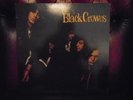 Black Crowes 12