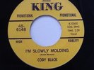CODY BLACK - I,M SLOWLY MOLDING
