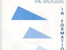 The Badgers 45 ep In Formation - Rare Private Power Pop  - HEAR