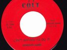 Blues Rocker 45 - HOMESICK JAMES - Can't Afford To Do It / Set A Date