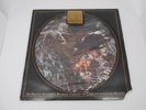 The Lord of the Rings Picture Vinyl Record Original 1978 Soundtrack