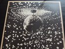Neil Young °° Mirror Ball °°° Doppel-Vinyl °°° TOP °° Fehlpressung °°° RAR