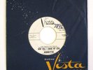 ANNETTE FUNICELLO DISNEY PROMO 45 SOMETHING BORROWED SOMETHING BLUE/HOW WILL I