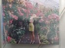 Wolf Alice 7