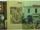 Taj Mahal LP Vinyl Record Lot: Anthology Volume I + Self Titled + Recycling the