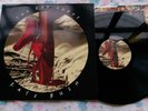 Kate Bush - The Red Shoes EMD 1047 UK LP 1st Press 1993 EMI Vinyl