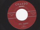RARE OHIO GARAGE SURF INSTRUMENTAL- THE RENEGADES- 