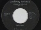 Rock 45 - Tailwind - Shake In The Wind - Pathway - mp3 - obscure